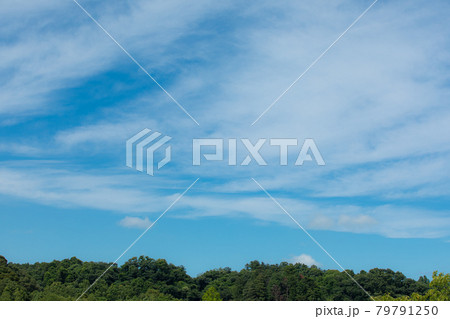 空2 空2 79791250