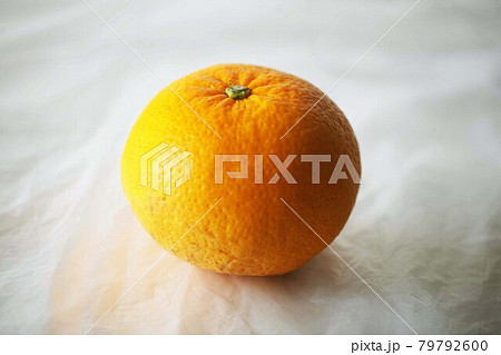 冬の果物 甘夏みかん 冬の果物 甘夏みかん 79792600
