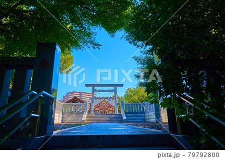 川崎市麻生区の十二神社(川崎市麻生区万福寺3丁目) 川崎市麻生区の十二神社(川崎市麻生区万福寺3丁目) 79792800
