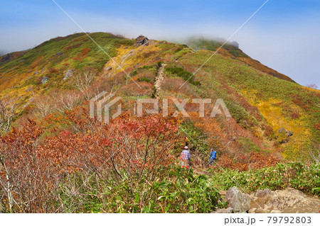 秋の群馬県谷川岳 天神尾根の避難小屋付近から山頂方面を見る 79792803