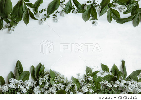 Floral arrangement with spring leaves and flowers copy space. Floral arrangement with spring leaves and flowers copy space. 79793325