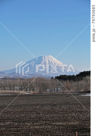 春の羊蹄山 79793685