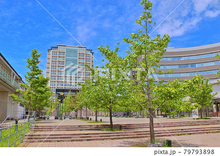 九州大学 伊都キャンパス センターゾーン 九州大学 伊都キャンパス センターゾーン 79793898
