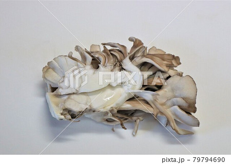 マイタケのブツ撮り マイタケのブツ撮り 79794690