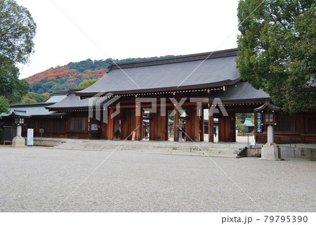 橿原神宮の南神門の風景 79795390