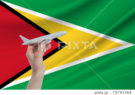 Airplane in hand with national flag of Guyana. Travel to Guyana 79795468