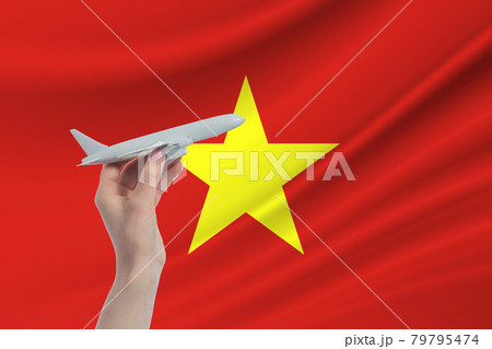 Airplane in hand with national flag of Vietnam. Travel to Vietnam 79795474