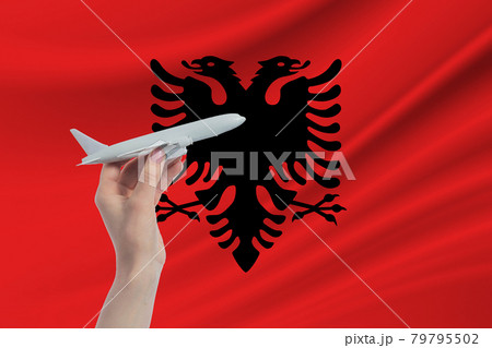 Airplane in hand with national flag of Albania. Travel to Albania 79795502