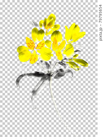 Alstroemeria painted with ink painting technique 79795654