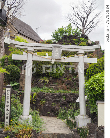 東京練馬・下練馬の富士塚 79795984
