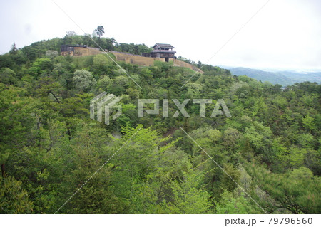 鬼ノ城　全景 79796560