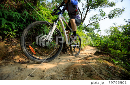 Cross country biking woman cyclist riding mountain bike on tropical rainforest trail Cross country biking woman cyclist riding mountain bike on tropical rainforest trail 79796901