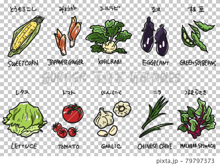 Summer vegetable set Summer vegetable set 79797373