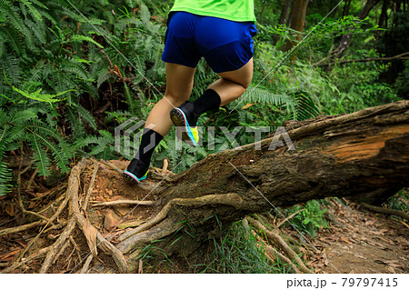 Woman runner cross country trail running in summer tropical rainforest Woman runner cross country trail running in summer tropical rainforest 79797415