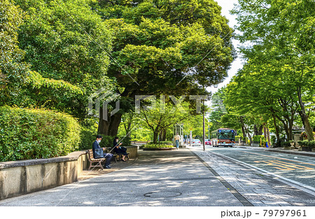 横浜の都市風景 元町公園 横浜の都市風景 元町公園 79797961
