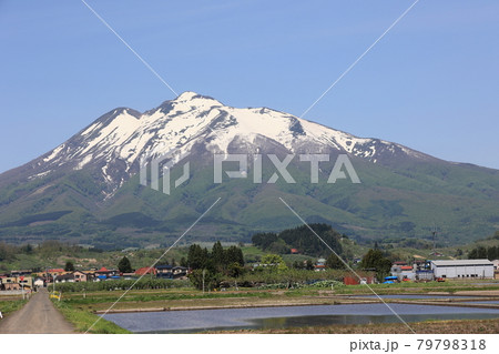 岩木山と田んぼ風景 岩木山と田んぼ風景 79798318