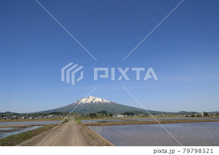 岩木山と田んぼ 岩木山と田んぼ 79798321