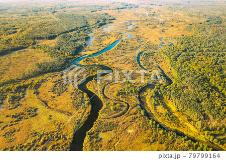 Aerial View Green Forest Woods And River Landscape In Sunny Summer Day. Top View Of Beautiful European Nature From High Attitude In Summer Season. Drone View. Bird's Eye View 79799164