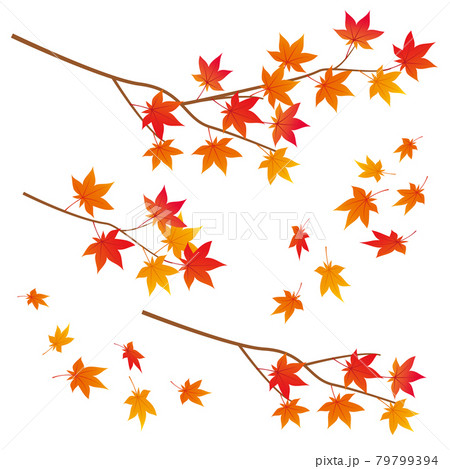 紅葉の木の枝と舞い落ちる葉っぱのセットのイラスト素材