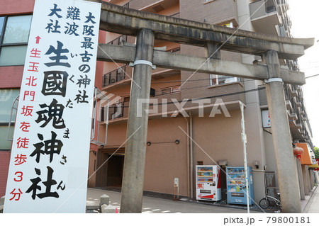 大阪市天王寺区にある生國魂神社の鳥居 大阪市天王寺区にある生國魂神社の鳥居 79800181