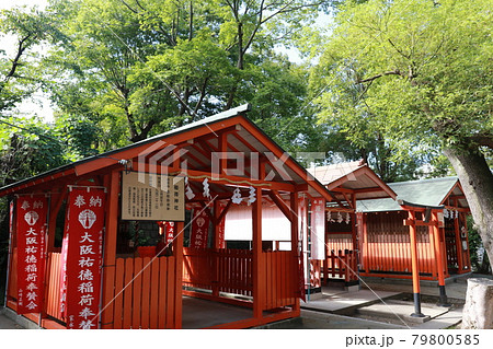 大阪市天王寺区にある生國魂神社の摂末社(稲荷神社) 大阪市天王寺区にある生國魂神社の摂末社(稲荷神社) 79800585
