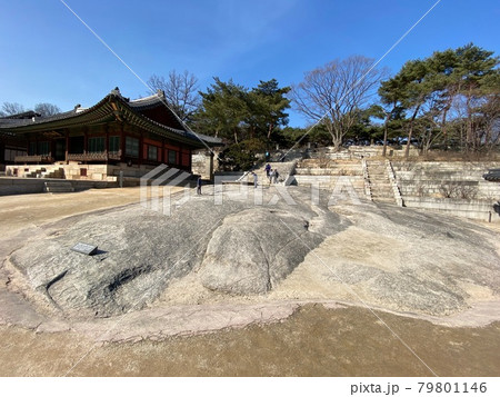 韓国ソウル|昌慶宮(チャンギョングン) 韓国ソウル|昌慶宮(チャンギョングン) 79801146