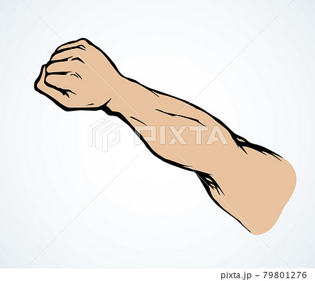 Hand with an elongated fist. Vector drawing 79801276