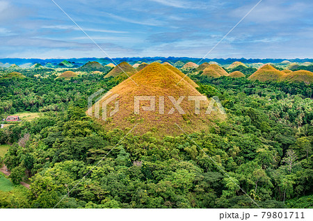 フィリピンのボホール島のチョコレートヒルズの写真素材 79801711 Pixta