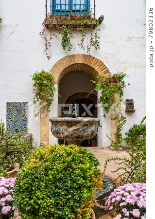 Courtyard garden of Viana Palace in Cordoba, Andalusia, Spain. 79802336