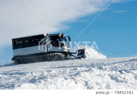 Ski resort Ski resort 79802381