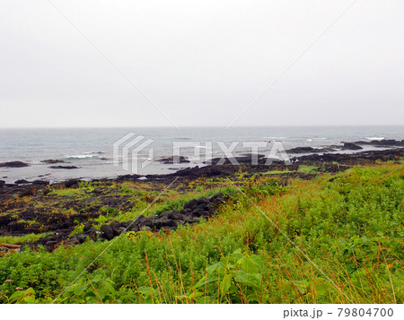 北海道 利尻島 北側エリア サイクリングコース 北海道 利尻島 北側エリア サイクリングコース 79804700