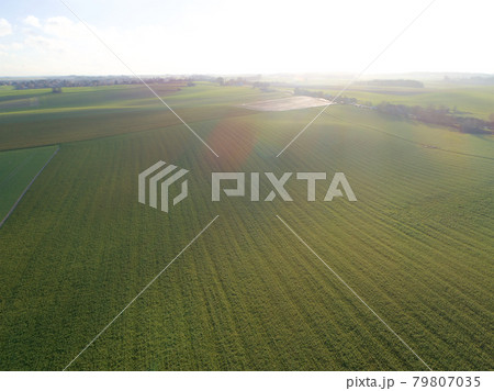 Aerial view farm field, Lion's Mound, Battle field, Napoleon, Waterloo, Belgium 79807035