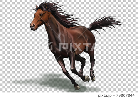 走る馬 2 79807844