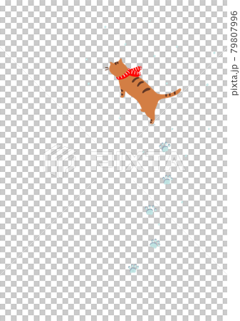 Cat walking in the snow-Tora cat Cat walking in the snow-Tora cat 79807996