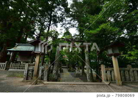 住吉神社より 住吉神社より 79808069