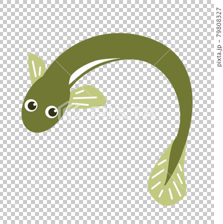Illustration of fresh and delicious eel 79808327