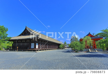 【京都府】快晴下の三十三間堂 本堂 【京都府】快晴下の三十三間堂 本堂 79808873