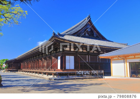 【京都府】快晴下の三十三間堂　本堂 79808876