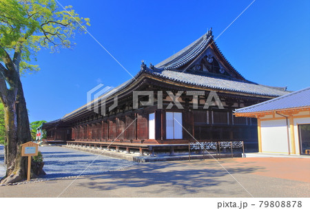 【京都府】快晴下の三十三間堂 本堂 【京都府】快晴下の三十三間堂 本堂 79808878