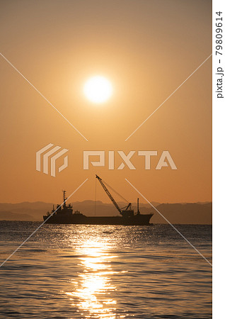 太陽とガット船 79809614