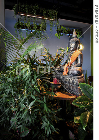 buddha statue in interior garden at tropical bar in thailand 79809823