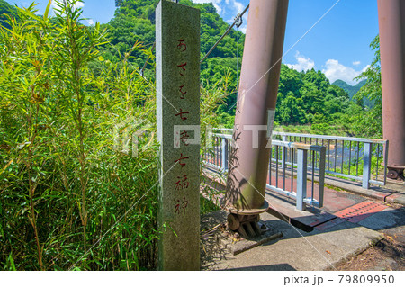 麻苧の滝自然公園付近 初夏の周辺景色 碓氷川 麻苧の滝自然公園付近 初夏の周辺景色 碓氷川 79809950