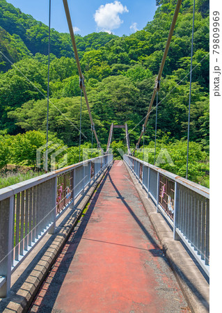 麻苧の滝自然公園付近 吊橋 碓氷川 初夏の周辺景色 麻苧の滝自然公園付近 吊橋 碓氷川 初夏の周辺景色 79809969