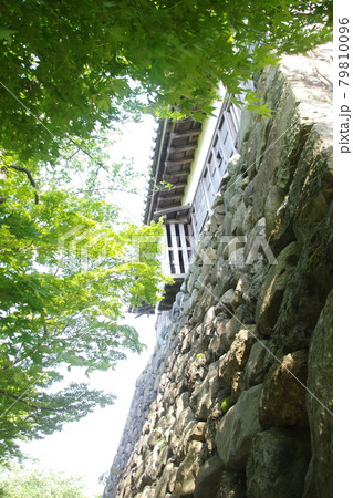 丸岡城 天守3 丸岡城 天守3 79810096