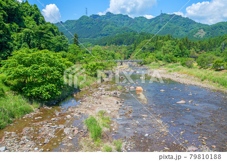 あさおの吊橋から眺めた碓氷川 麻苧の滝自然公園付近 初夏の周辺景色 あさおの吊橋から眺めた碓氷川 麻苧の滝自然公園付近 初夏の周辺景色 79810188