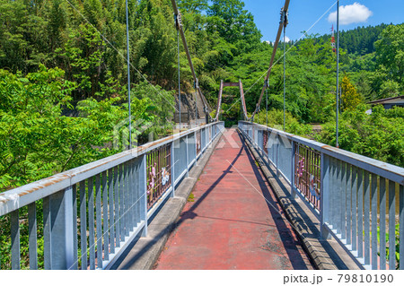 麻苧の滝自然公園付近 吊橋 碓氷川 初夏の周辺景色 麻苧の滝自然公園付近 吊橋 碓氷川 初夏の周辺景色 79810190