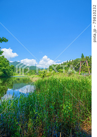 あさおの吊橋付近の池 麻苧の滝自然公園 初夏の周辺景色 あさおの吊橋付近の池 麻苧の滝自然公園 初夏の周辺景色 79810232