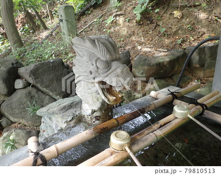 福井県坂井市三国町にあり、山王宮、桜谷神社とも呼ばれていた三國神社 福井県坂井市三国町にあり、山王宮、桜谷神社とも呼ばれていた三國神社 79810513