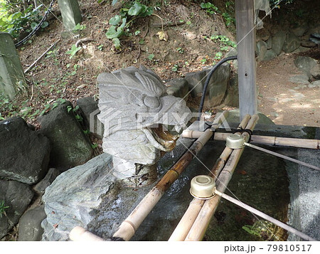 福井県坂井市三国町にあり、山王宮、桜谷神社とも呼ばれていた三國神社 79810517