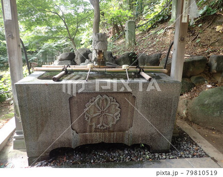福井県坂井市三国町にあり、山王宮、桜谷神社とも呼ばれていた三國神社 福井県坂井市三国町にあり、山王宮、桜谷神社とも呼ばれていた三國神社 79810519